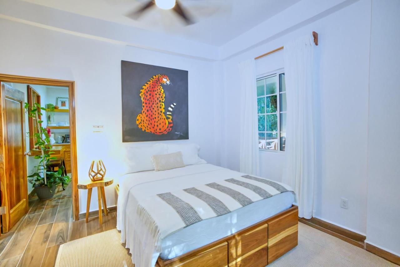 Villa Massis Luxury Villas 산 이그나시오 외부 사진