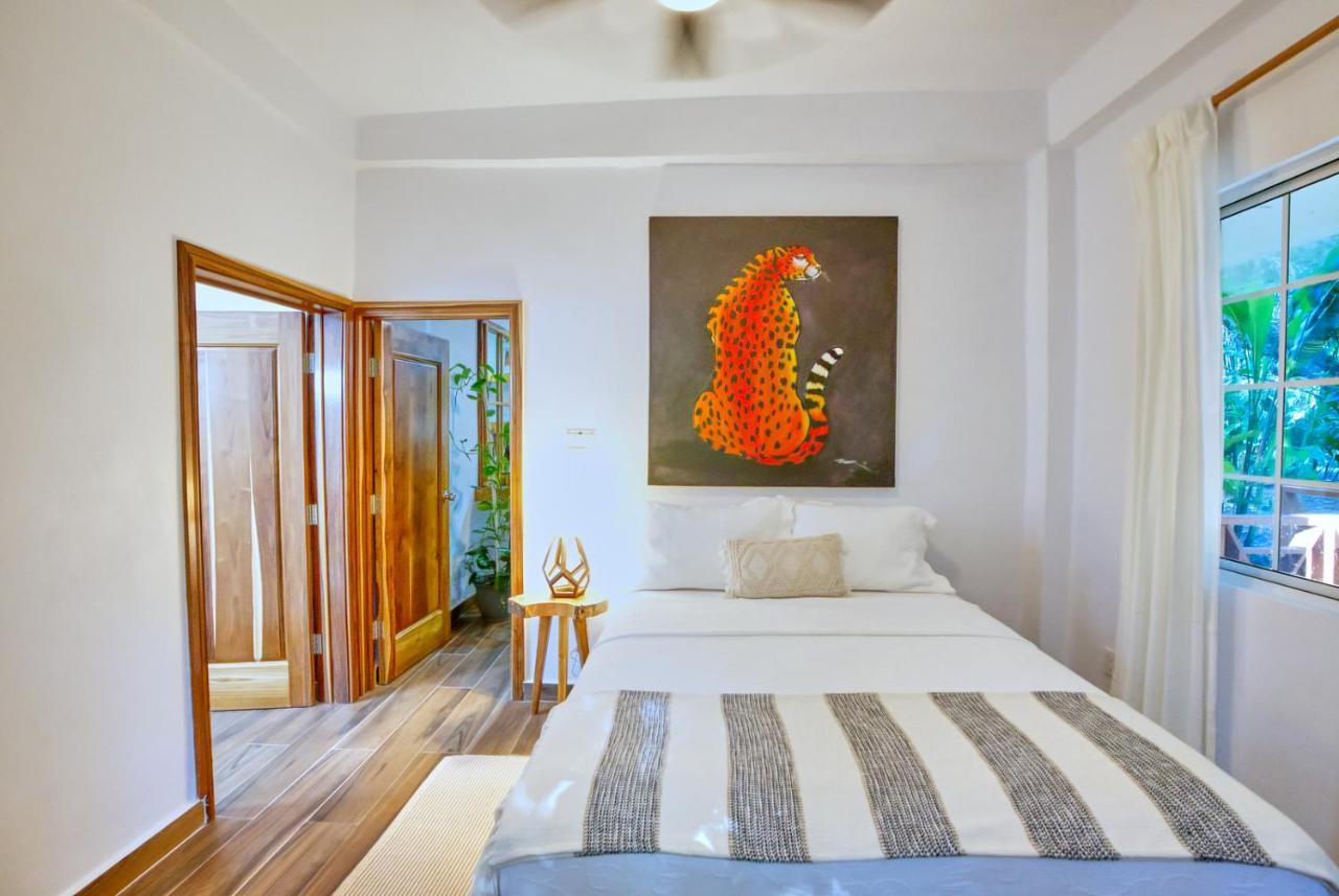 Villa Massis Luxury Villas 산 이그나시오 외부 사진